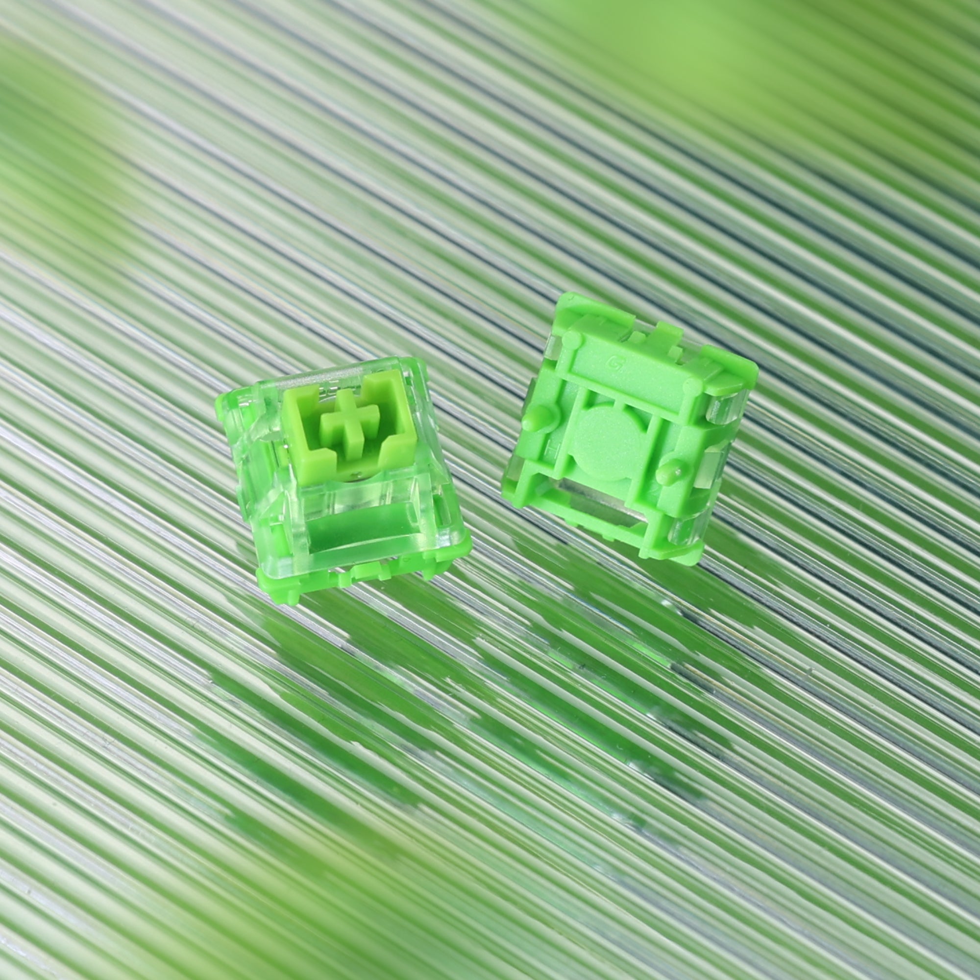 GATERON Green Dragon Switches