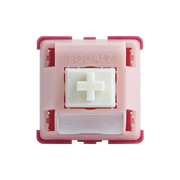 C³ Equalz | Blueberry & Grapefruite Gummy Linear Switch-Chosfox