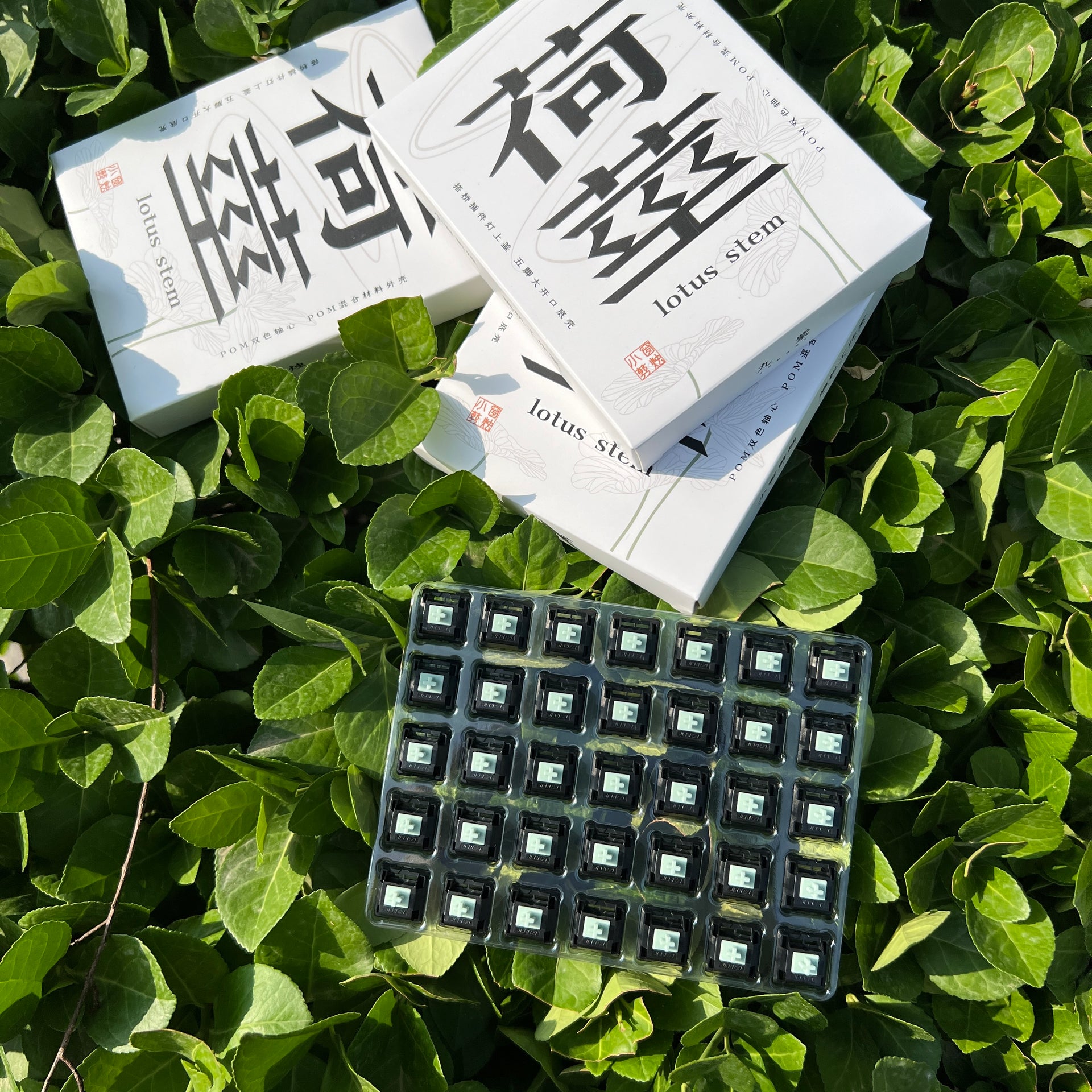 XCJZ x JDL Studio | Lotus Stem Clicky Switch-Chosfox