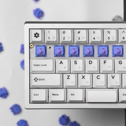 Chosfox&HMX Skytear Blue Linear Mechanical keyboard Switches