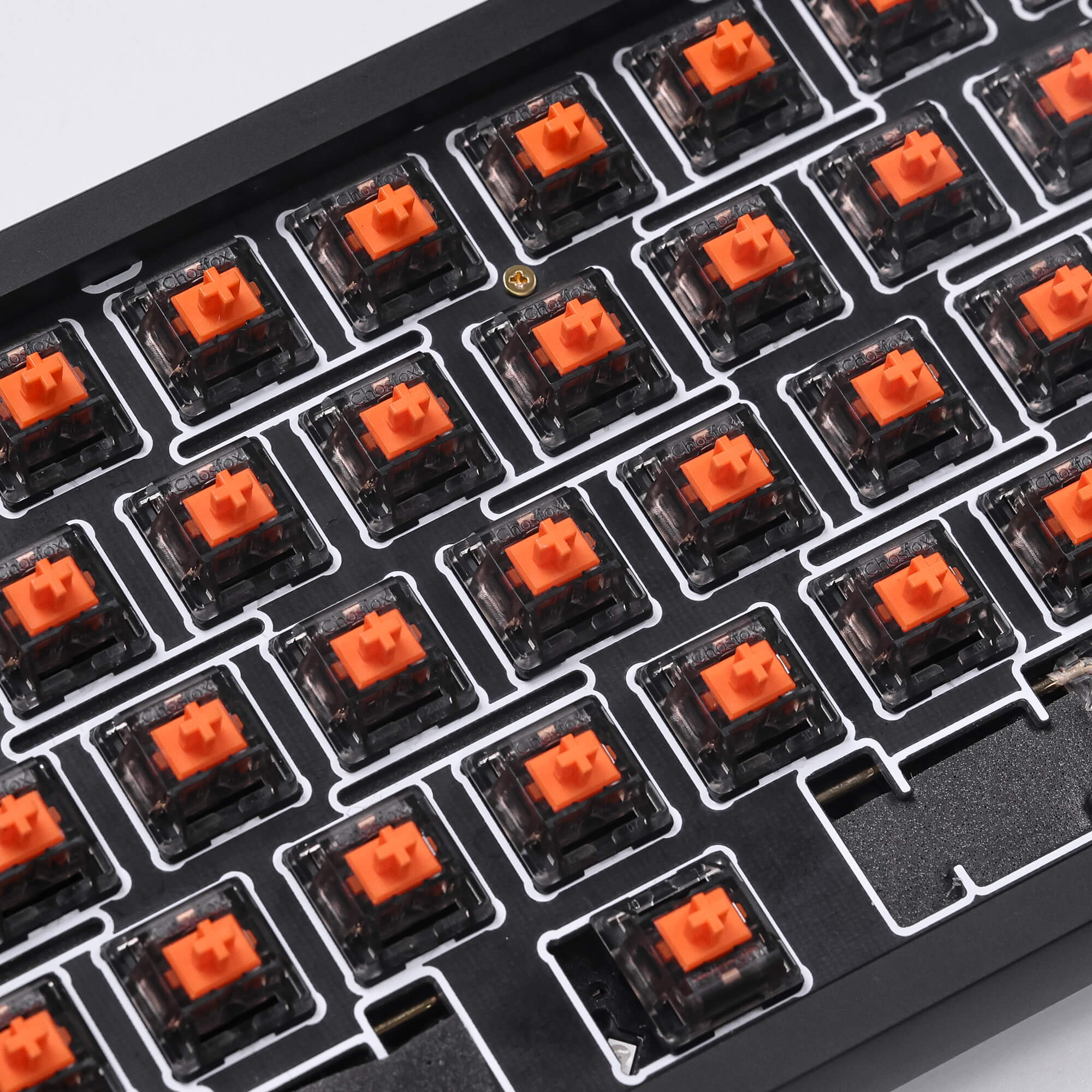 Chosfox X Masro | Ragna Linear Switch