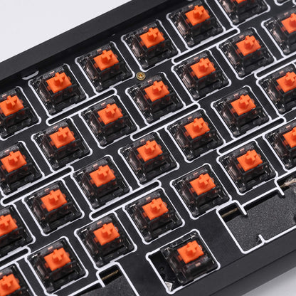 Chosfox X Masro | Ragna Linear Switch