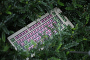 [GB] Chosfox | CF81 keyboard kit-Chosfox
