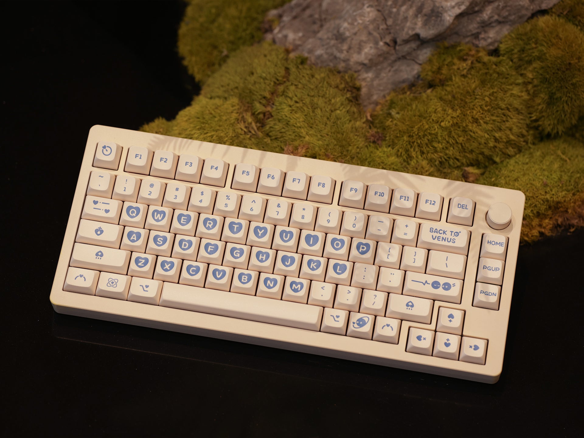 CF81 Custom Keyboard Kit-Chosfox
