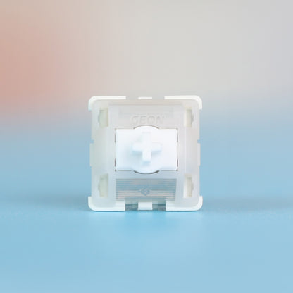 Interrupteurs linéaires magnétiques GEON Raw HE 