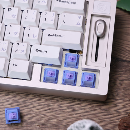 Chosfox&HMX Skytear Blue Linear Mechanical keyboard Switches