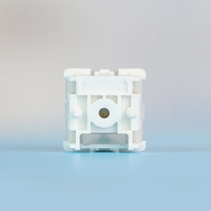 Interrupteurs linéaires magnétiques GEON Raw HE 