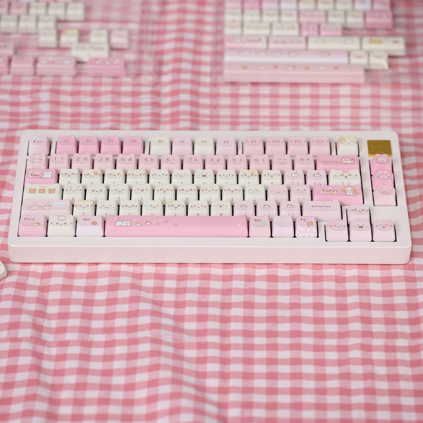 Touches Chosfox Pixel Meow
