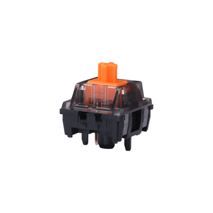 Chosfox X Masro | Ragna Linear Switch