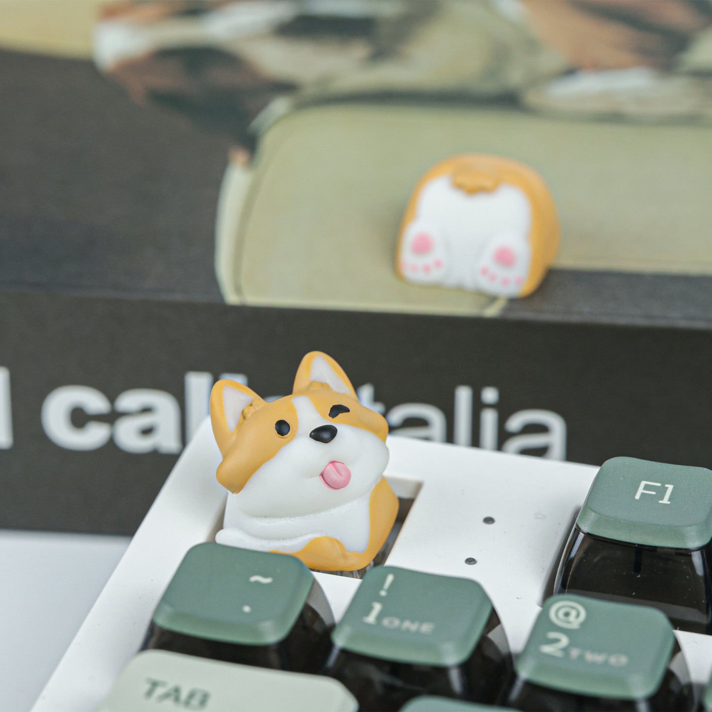 Corgi Resin Artisan Keycaps-Chosfox
