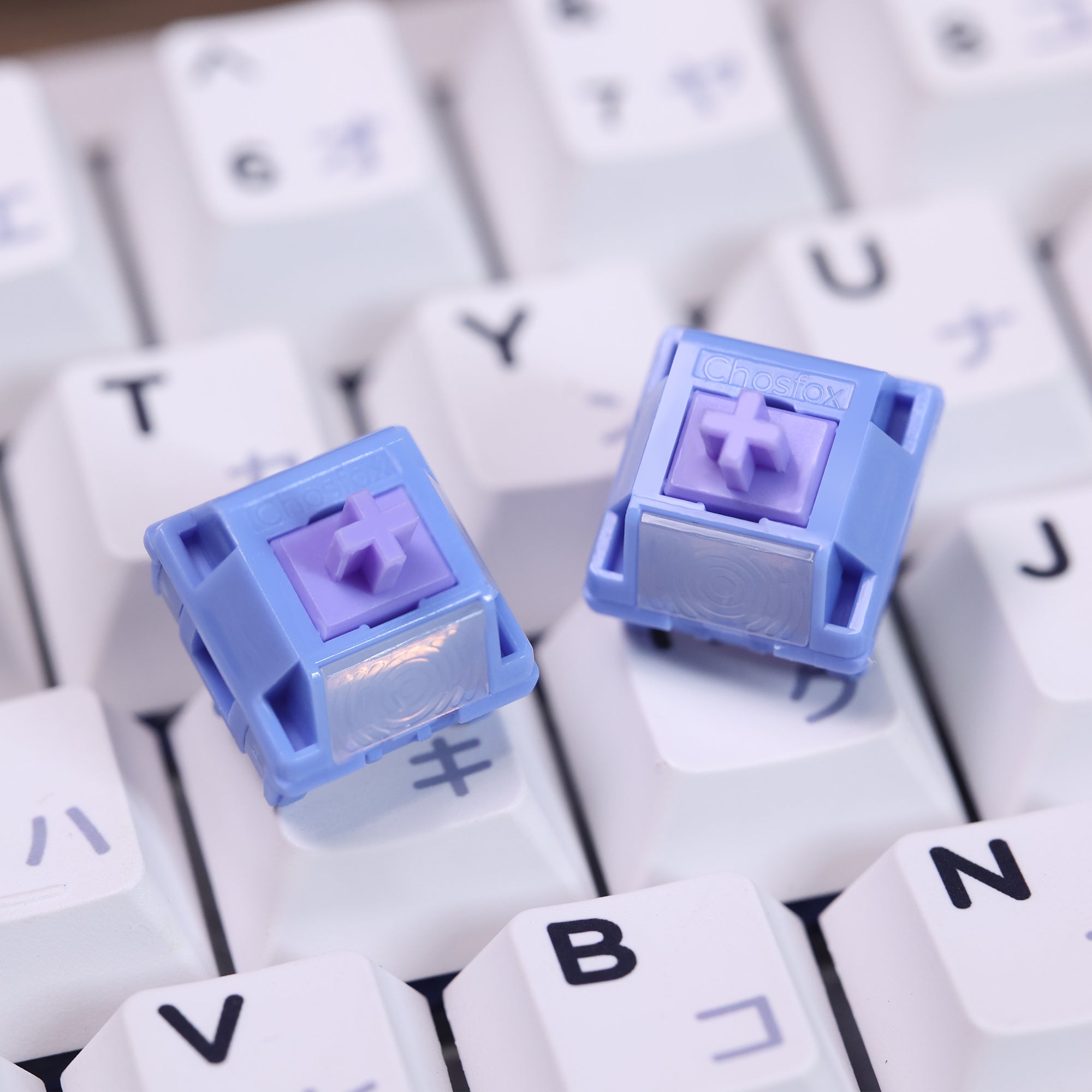 Chosfox&HMX Skytear Blue Linear Mechanical keyboard Switches – Chosfox