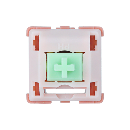 BSUN Aniya Linear Switch R2