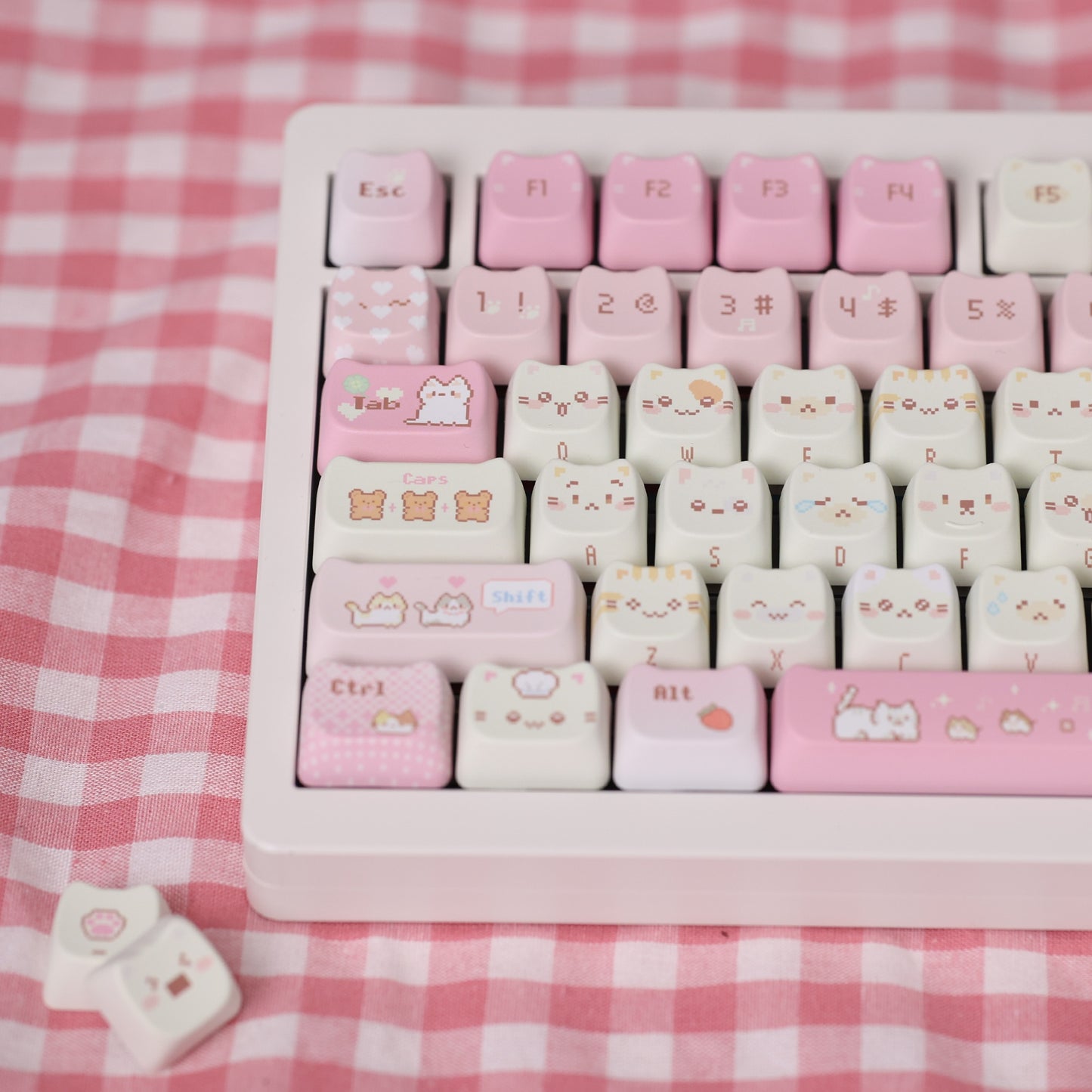 Touches Chosfox Pixel Meow