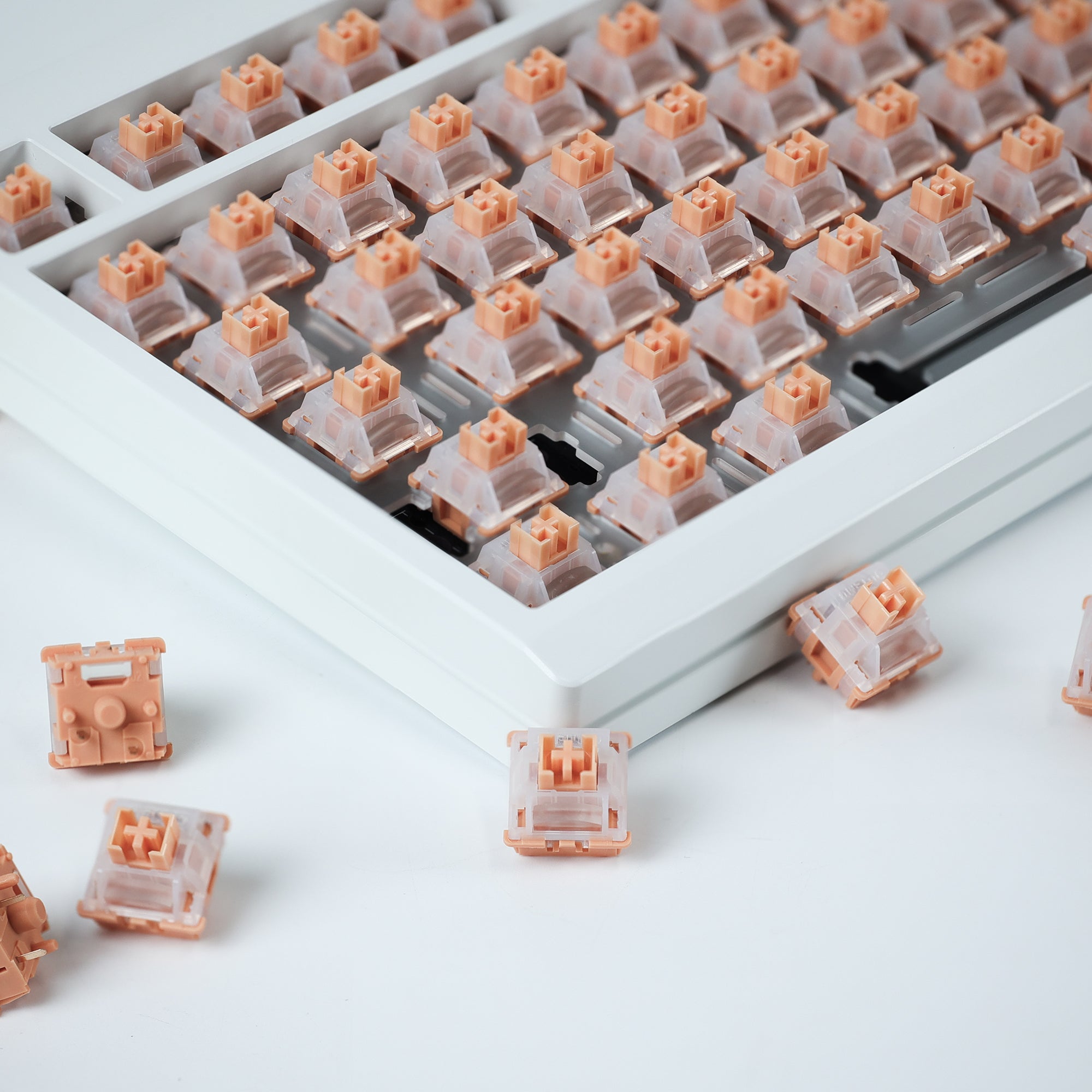 Chosfox&Outemu Silent Linear Yichu Switch