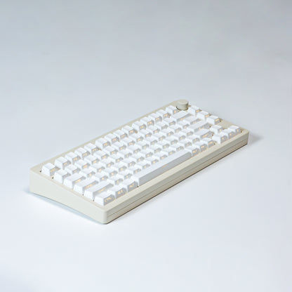 Chosfox OEM Profile Side Print Gradient Keycaps Set - 134 Keys-Chosfox