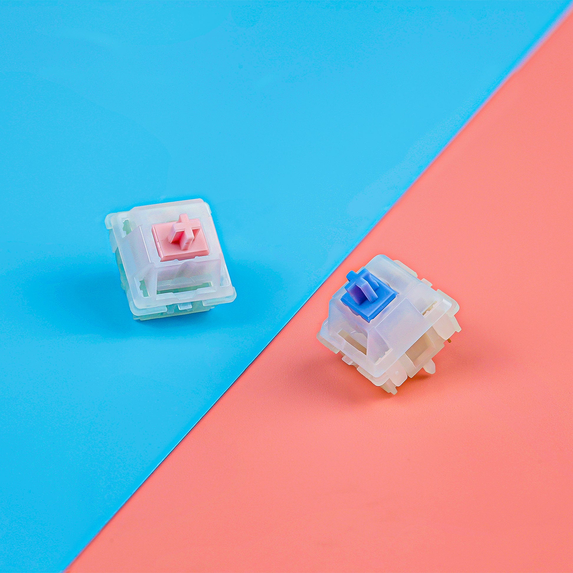 C³ Equalz | Blueberry & Grapefruite Gummy Linear Switch-Chosfox