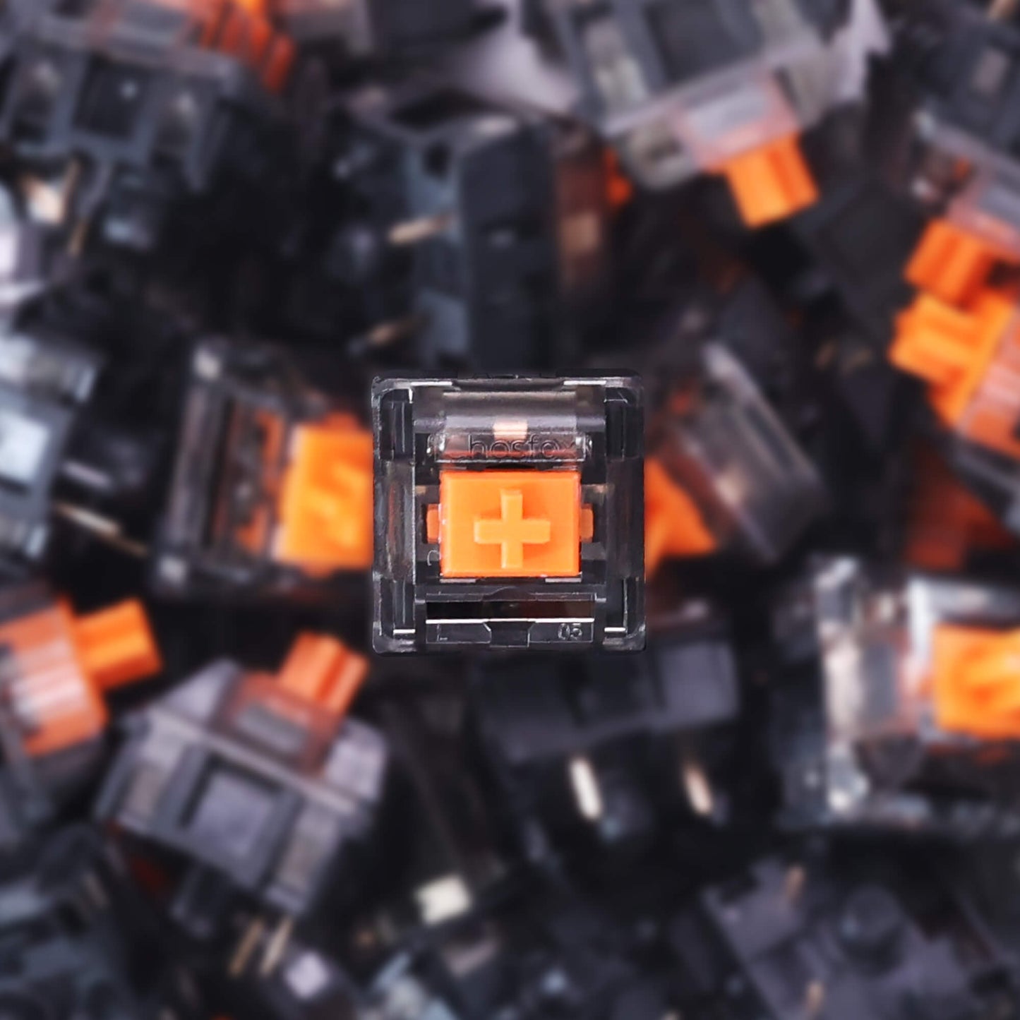 Chosfox X Masro | Ragna Linear Switch