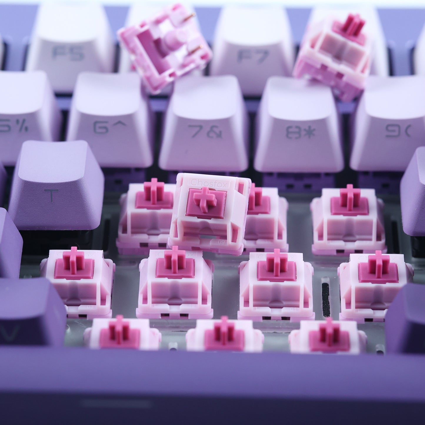 Chosfox&HMX Hanami Dango V2 Linear Switch