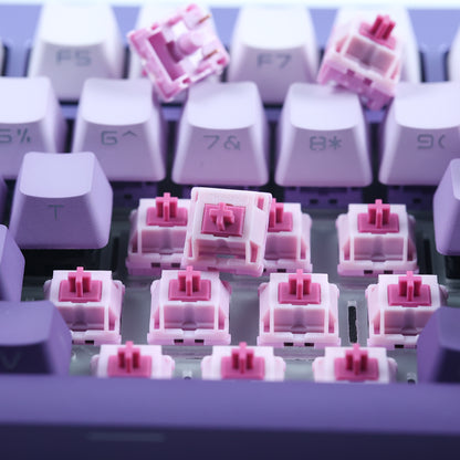 Chosfox&HMX Hanami Dango V2 Linear Switch