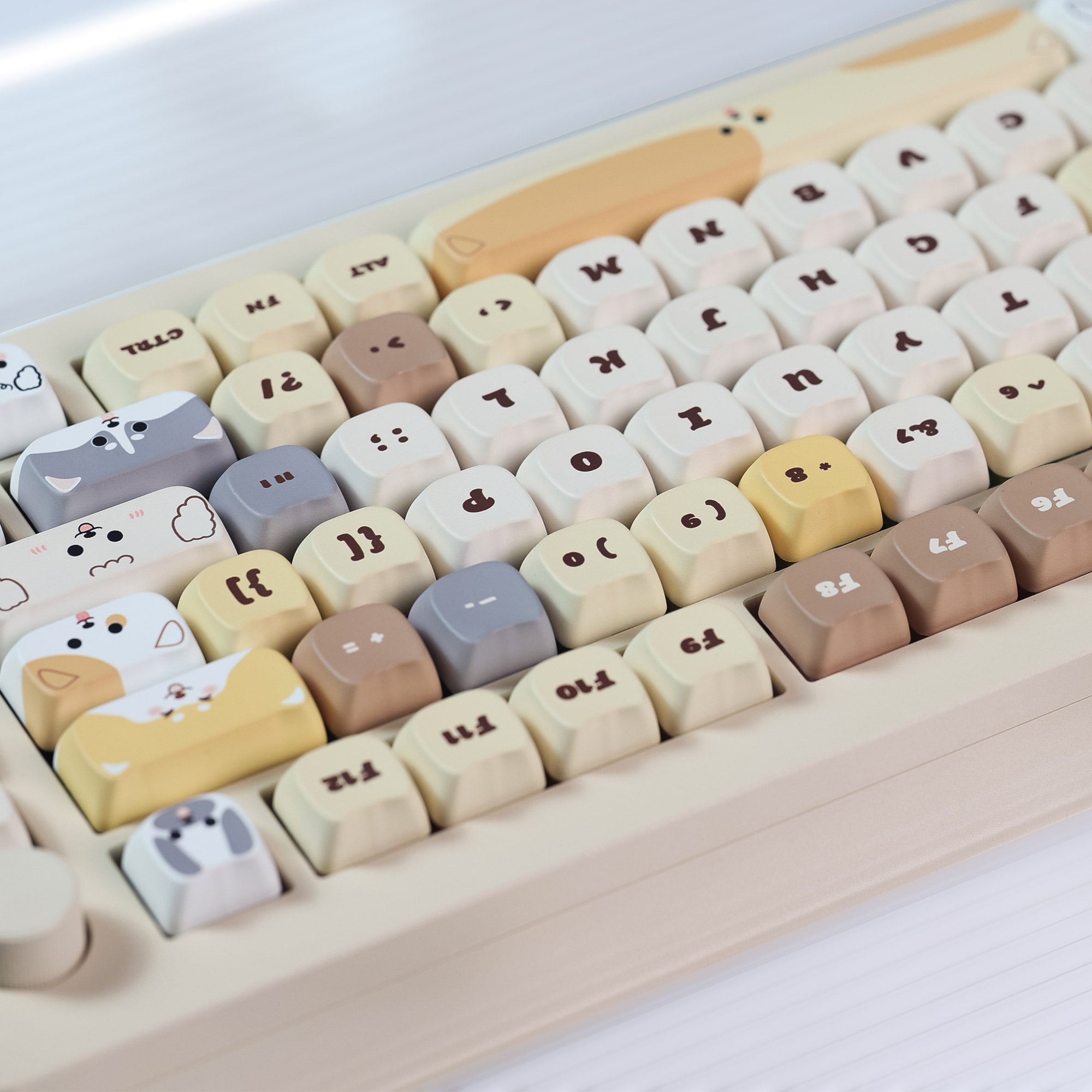 kaa　20ペア 7_956418a8-6e5a-49ab-965f-