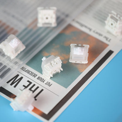 Interrupteurs linéaires magnétiques GEON Raw HE 