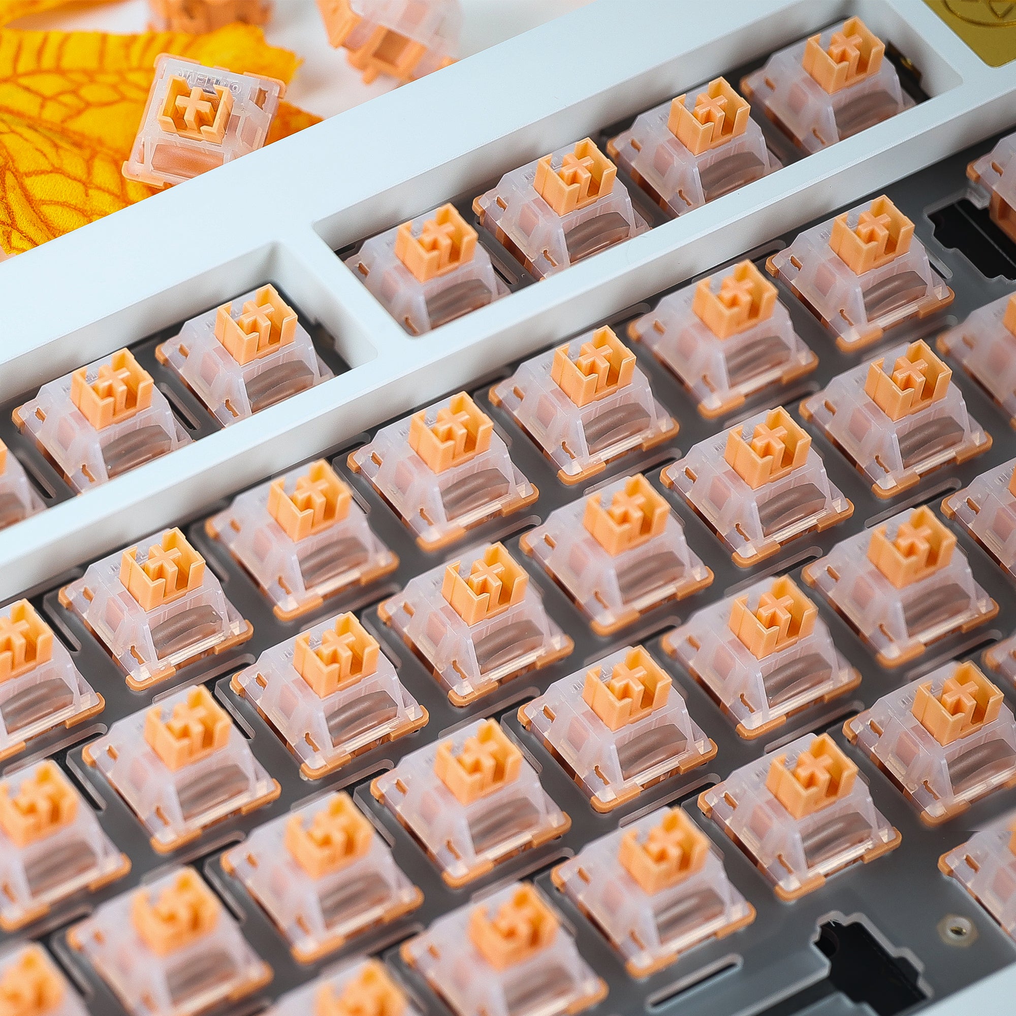 Chosfox&Outemu Silent Linear Yichu Switch