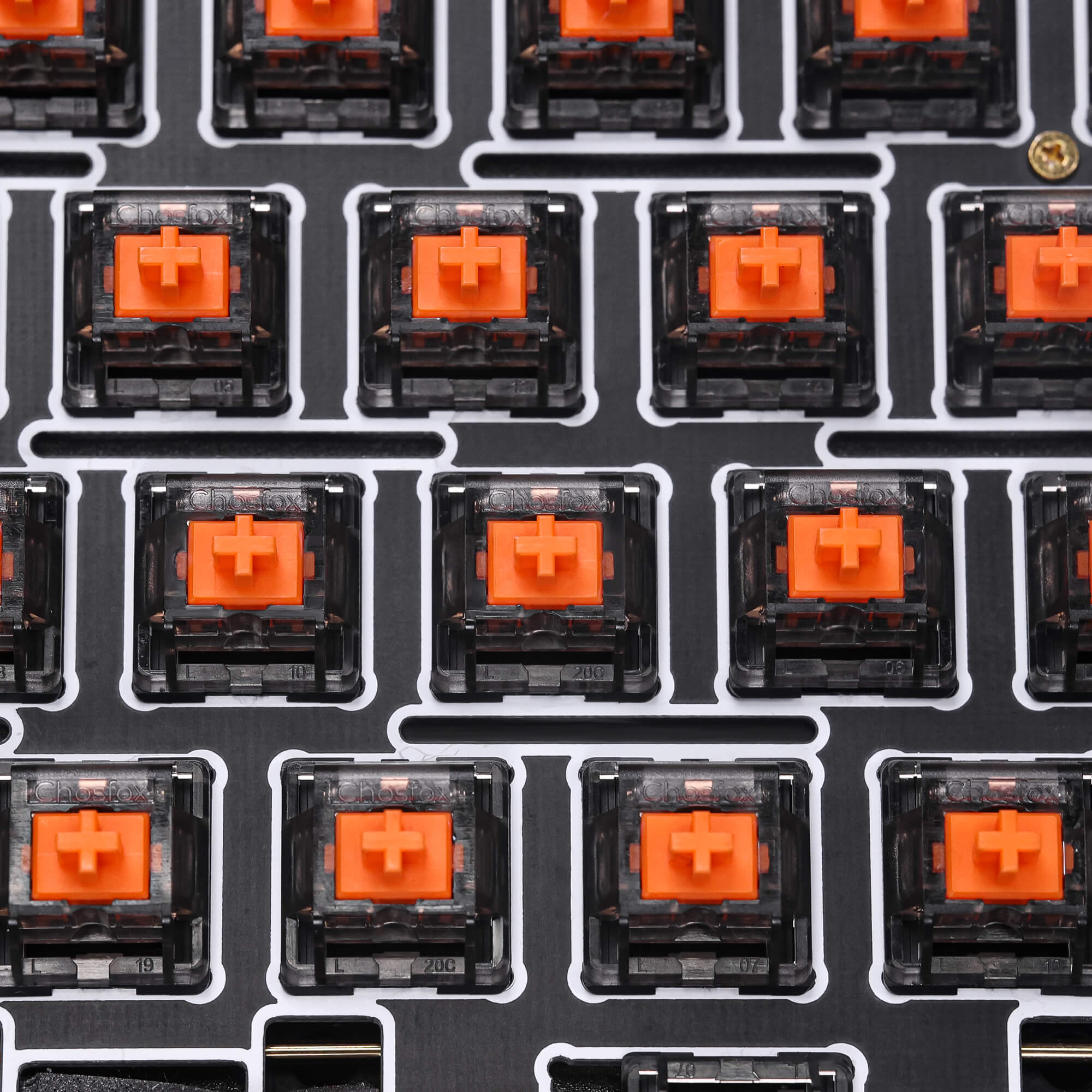 チョスフォックス X マスロ |ラグナリニアスイッチ