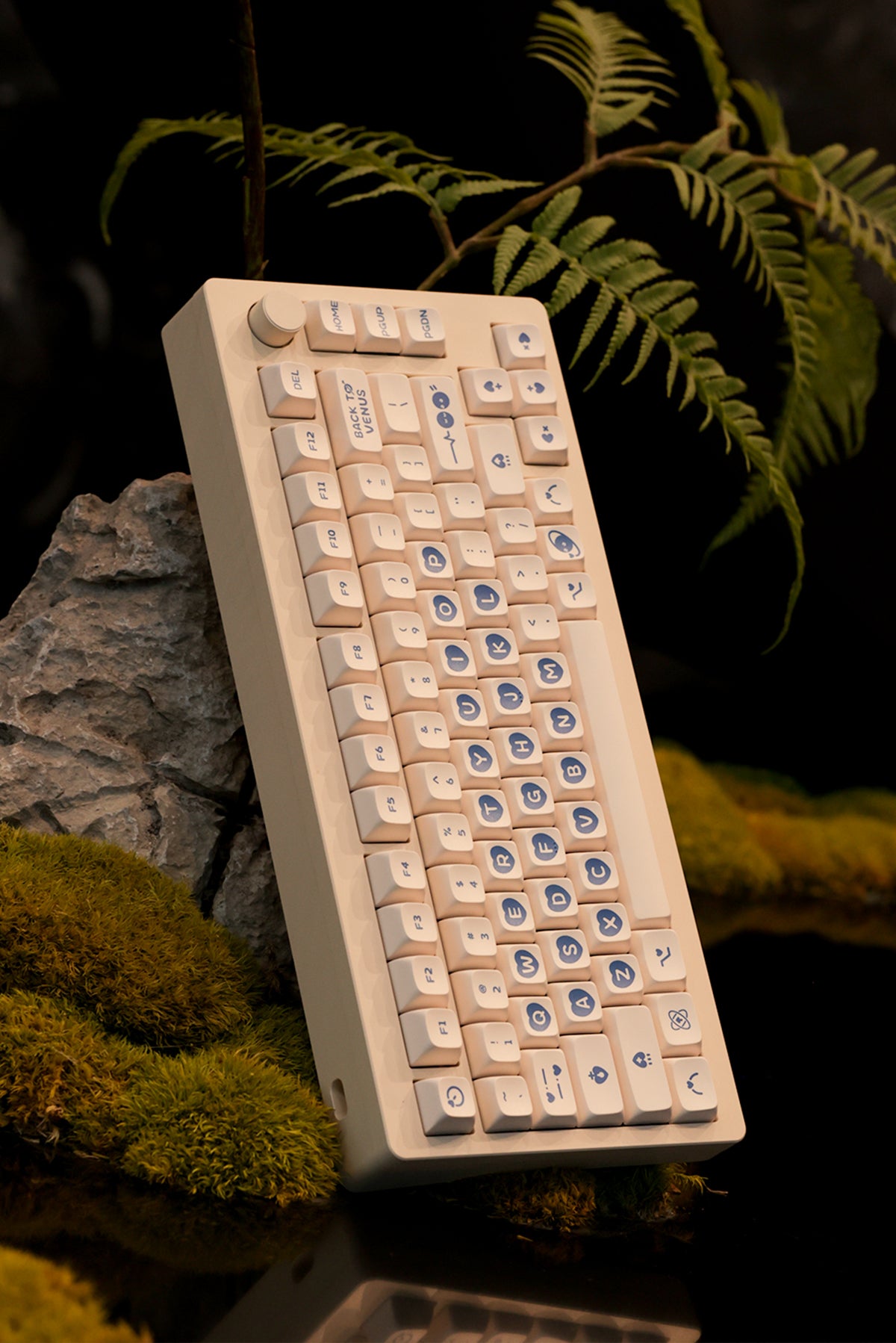 CF81 Custom Keyboard Kit
