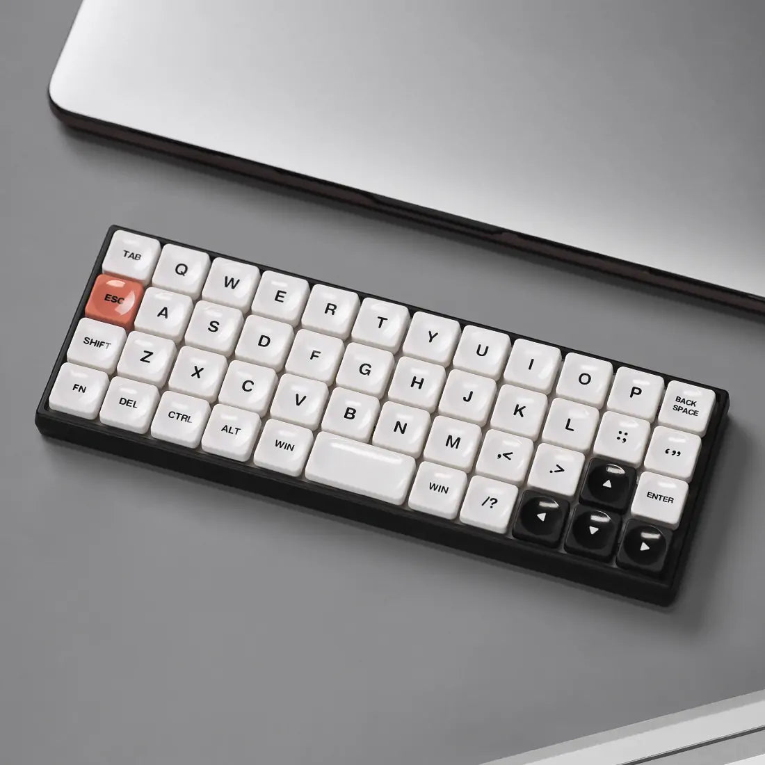 チョスフォックス X マスロ |ジオニックス Rev.2 – Chosfox チョスフォックス X マスロ |ジオニックス Rev.2 – Chosfox
