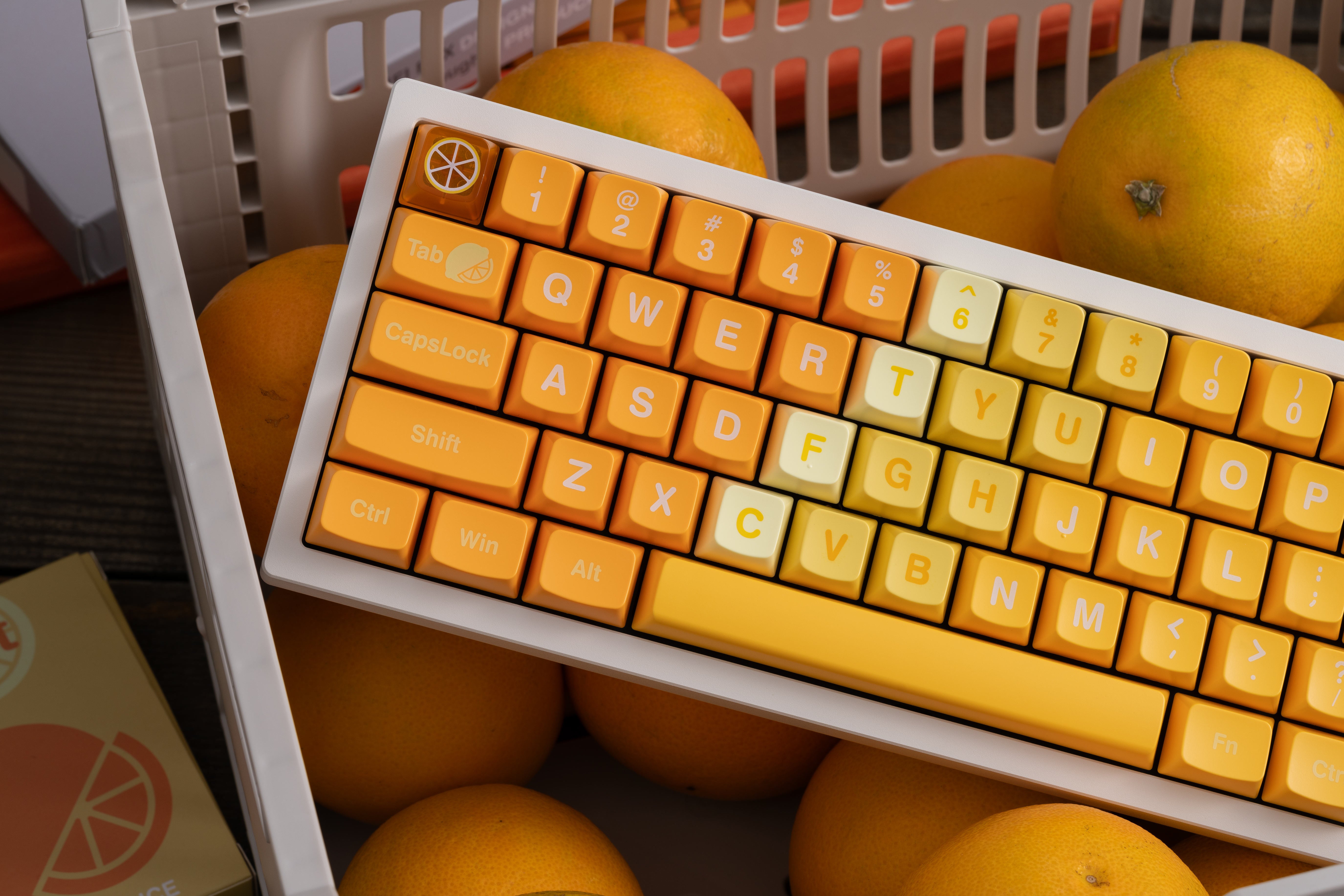 Citrus discount kenzo xda