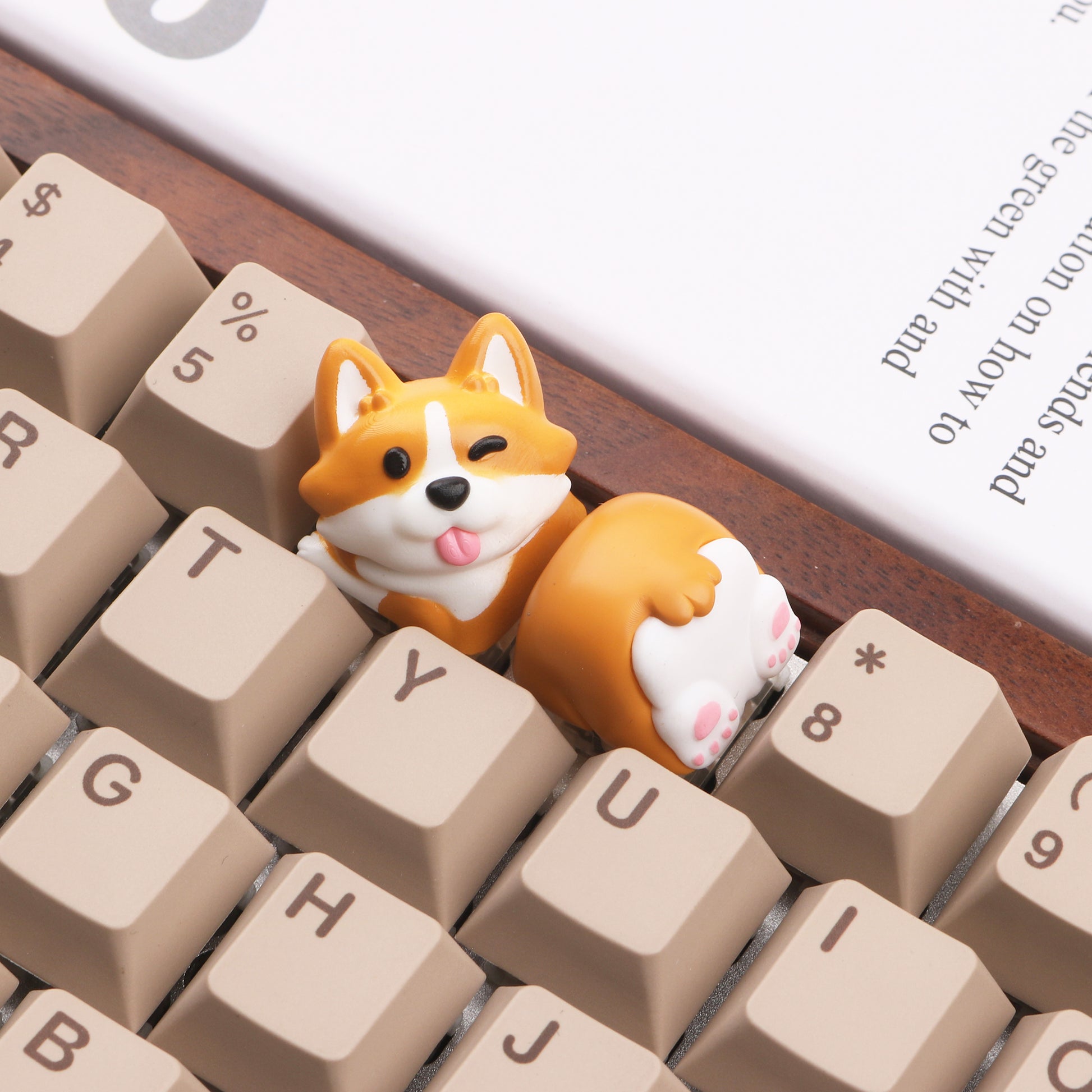Corgi Resin Artisan Keycaps-Chosfox