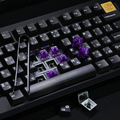 Leo80 Mechanical Keyboard Kit-Chosfox