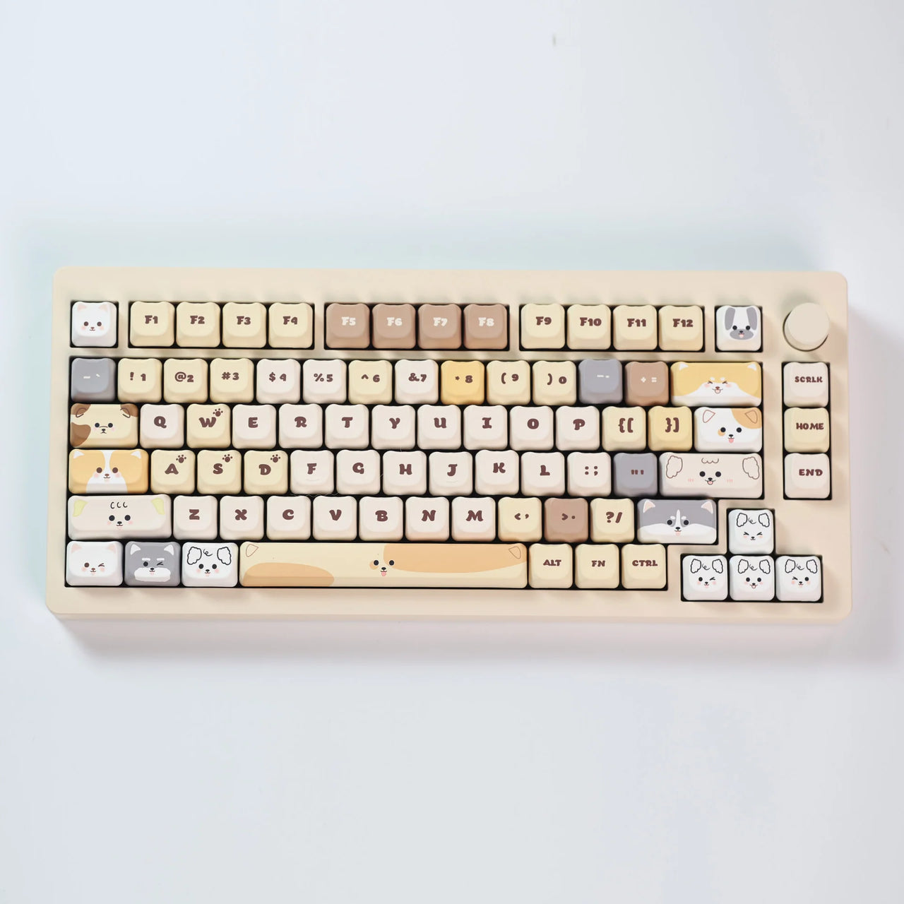 US warehouse item(Only send to US)