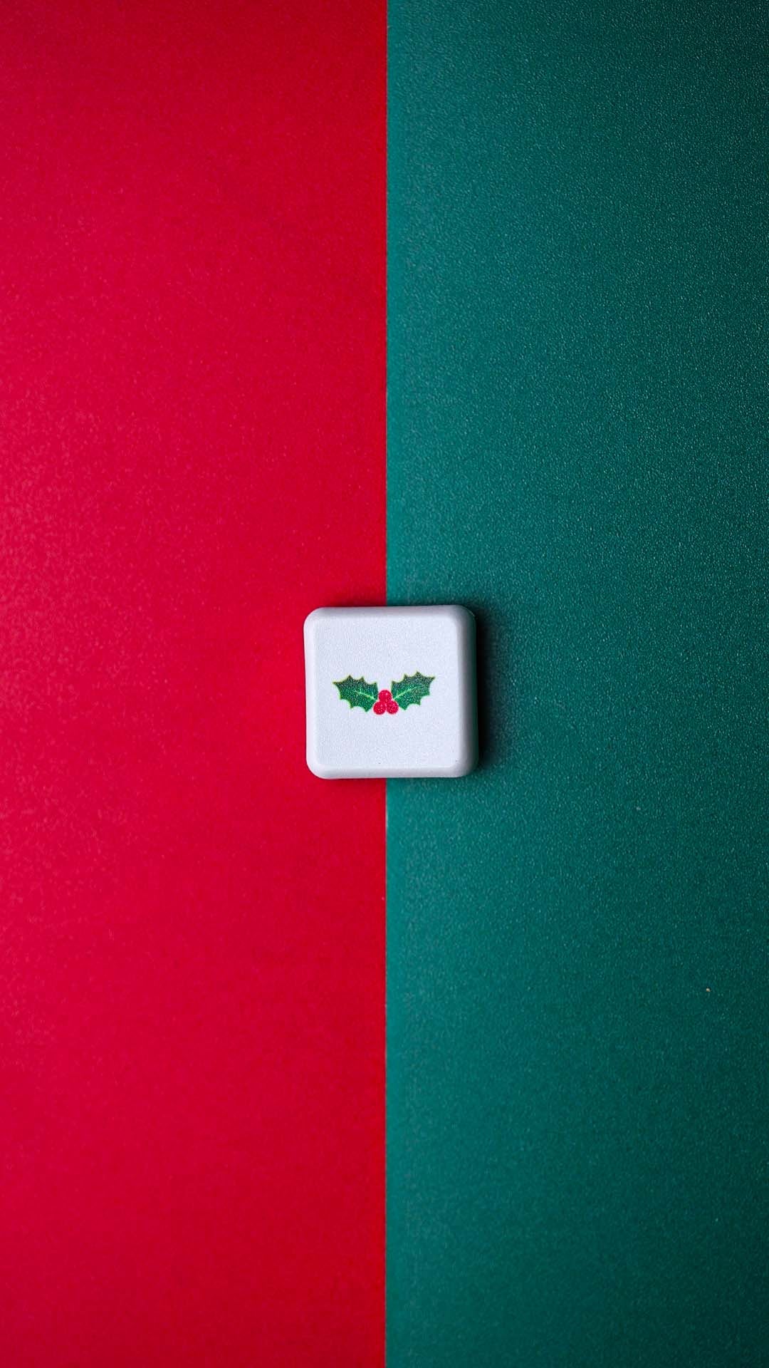 Chocfox Christmas Limited Edition-Chosfox