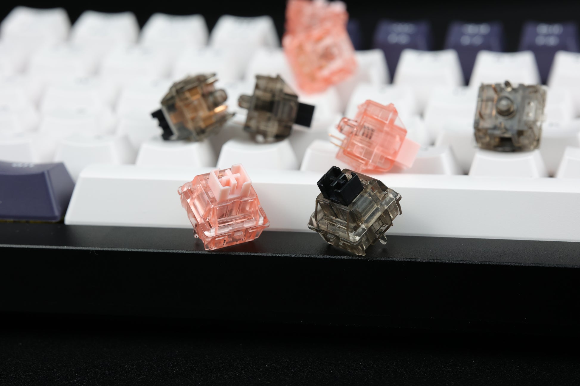 Gateron Ink Black & Ink Pink Switch-Chosfox
