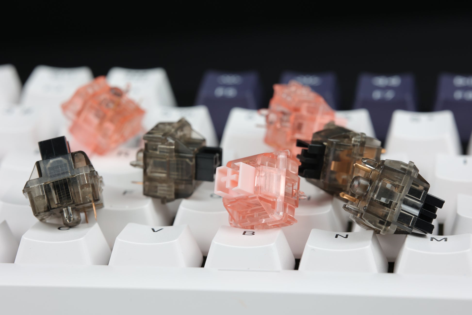 Gateron Ink Black & Ink Pink Switch-Chosfox