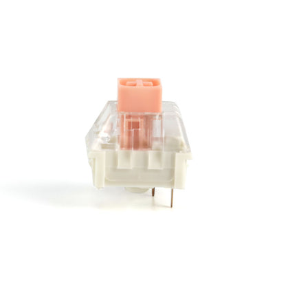 Hako Switches-Chosfox