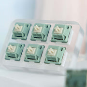JWK Moyu Green Snake Linear Switch-Chosfox