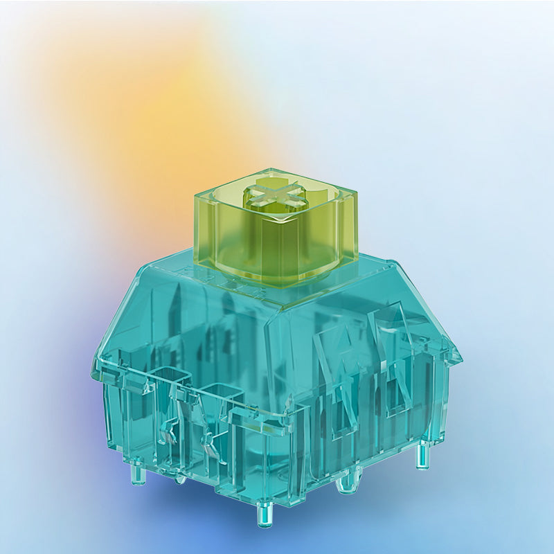 Kailh Switches Storage Box-Chosfox