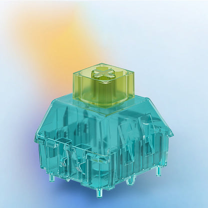Kailh Switches Storage Box-Chosfox