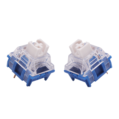 TTC Speed Silver (Quick Sliver) v1 & v2 Switch-Chosfox